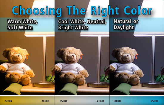 side by side light color comparisons with a teddy bear and a lamp. warm white and soft white scale from 2700 kelvin to 3000 kelvin. cool white, neutral and bright white scale from 3500 kelvin to 4100 kelvin. natural or daylight scale from 5000 kelvin to 6500 kelvin.