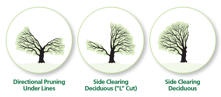 examples of different types of tree trimming