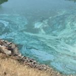 Permalink to State Issues Health Advisory for Brownlee and Hells Canyon Reservoirs hazardous algae bloom causes health advisory at hells canyon reservoir