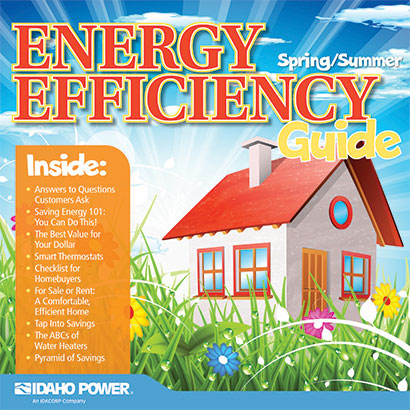 cover of spring/summer energy efficiency guide 2020
