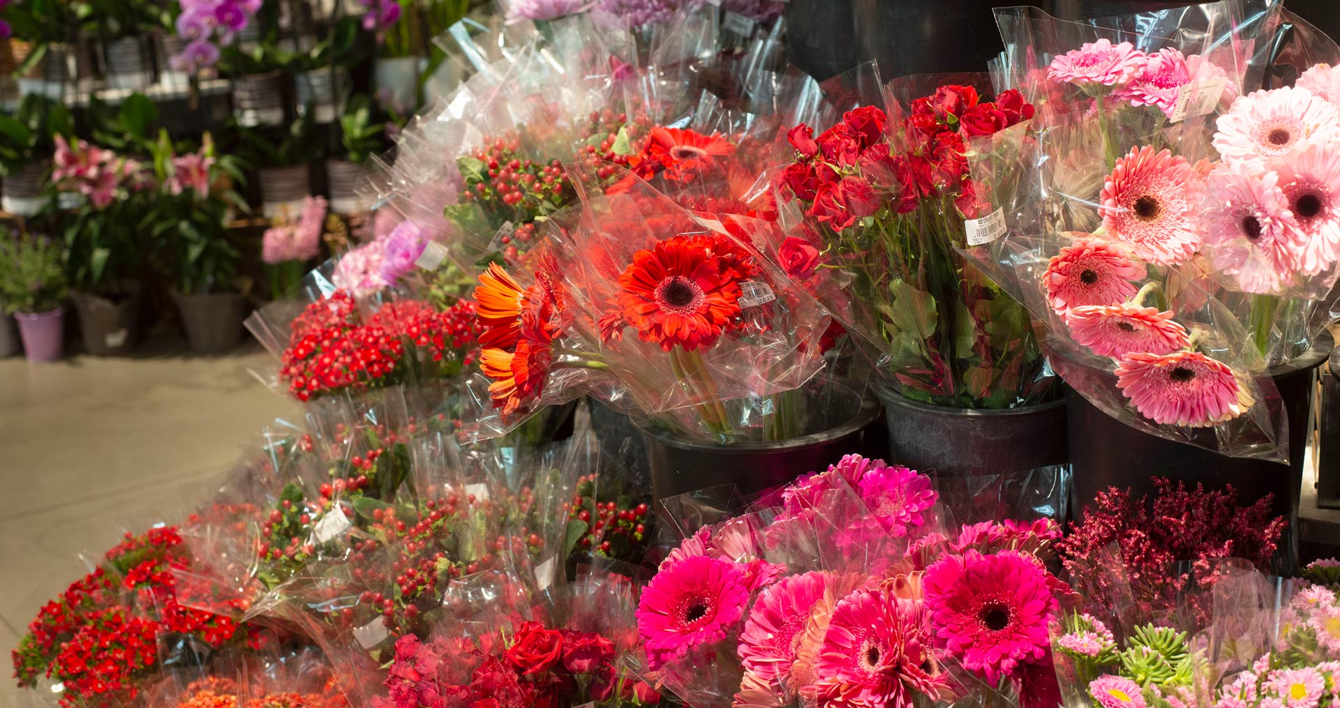 Image of flowers at a market
