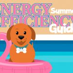 Wattson the dog in a pool for the energy efficiency guide cover