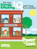 Image of test your energy efficiency (EEIQ) activity