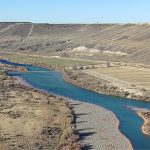 Image of Rippee Island in the Marsing Reach of the Snake River.