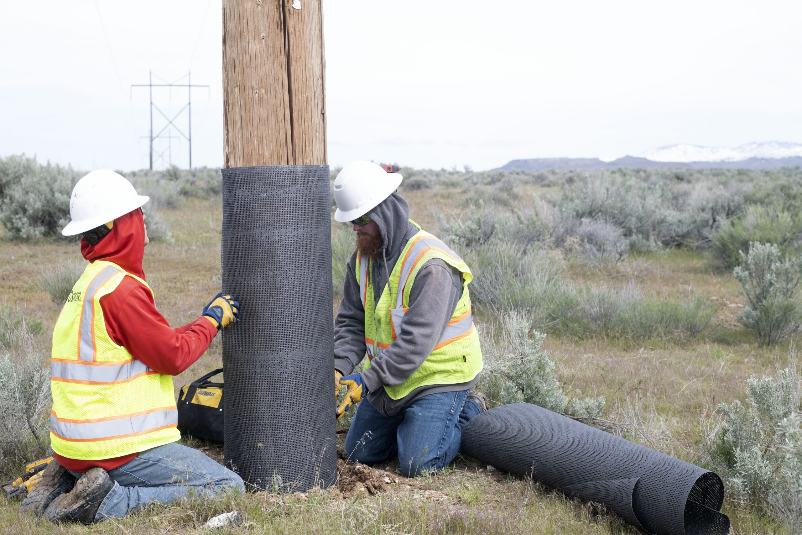 Two men wrap a wood power pole with fire resistant mesh in a sage-brush desert landscape.