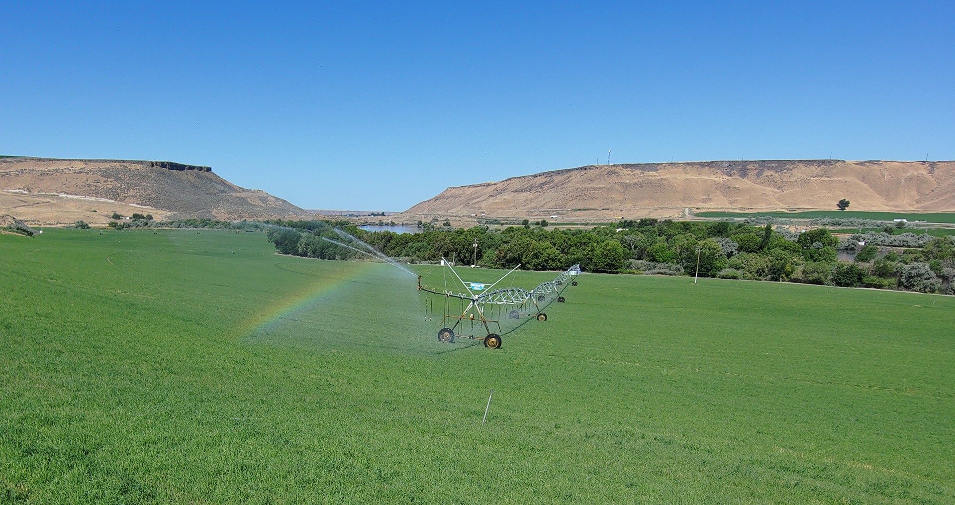 Energy-efficient drip irrigation in a farm field