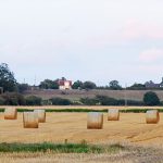 hay bales on a field by power lines