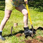 woman digging in yard with shovel