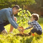 A young boy and his dad planting a tree.