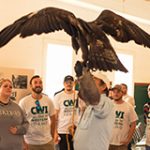 Golden eagle and CWI students at Swan Falls.