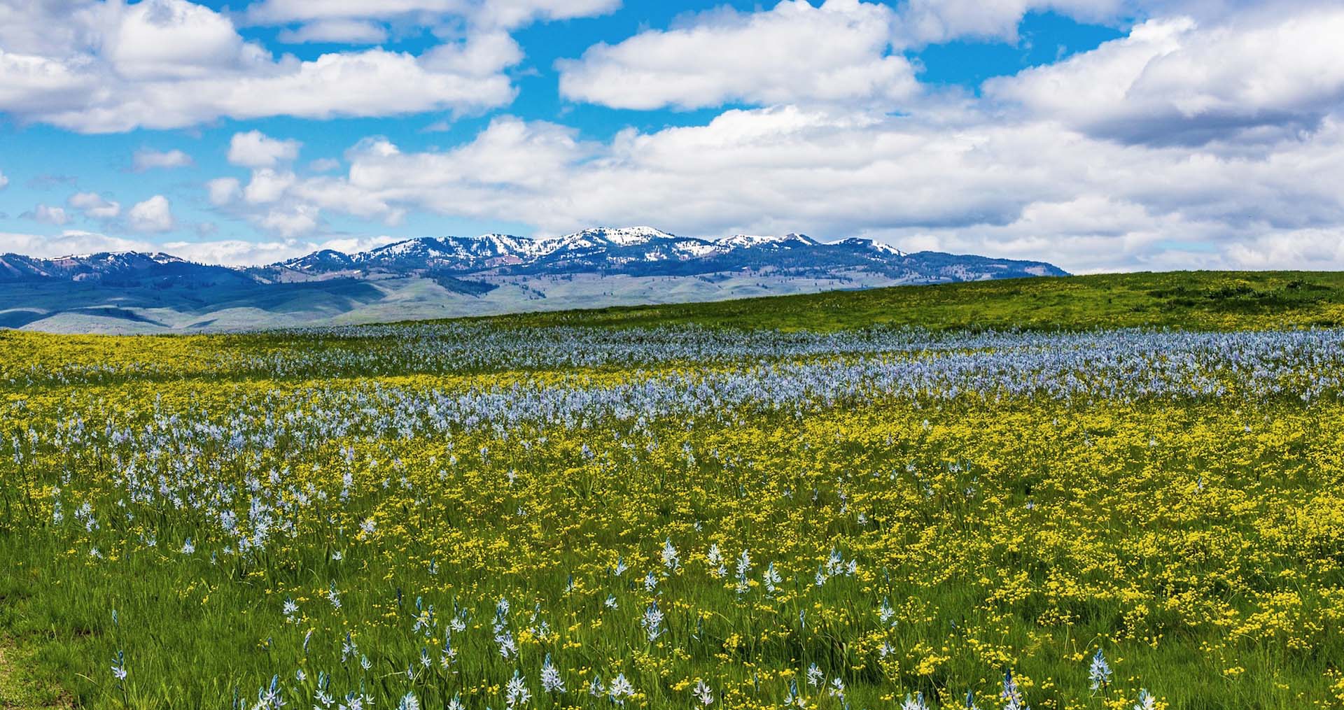 Scenic Idaho with mountains and meadows in spring