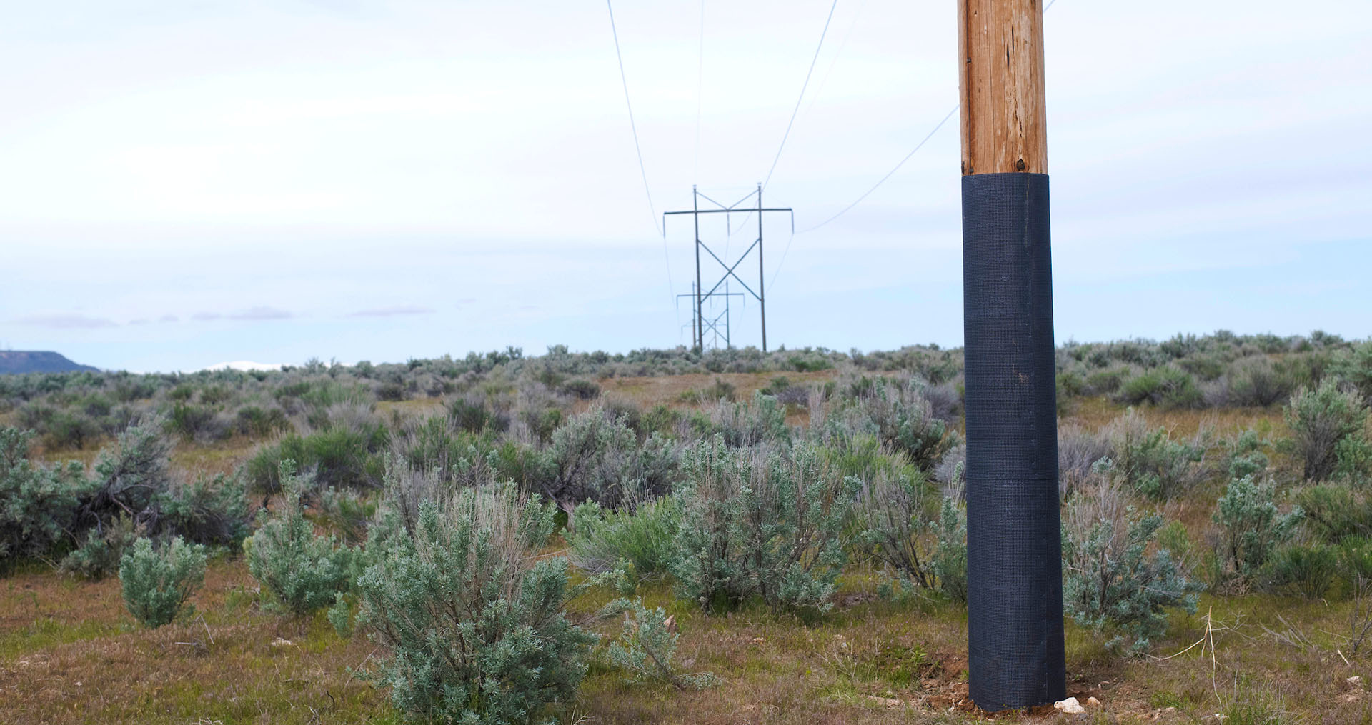 Desert landscape with transmission lines and a close up of a power pole with mesh wrapping