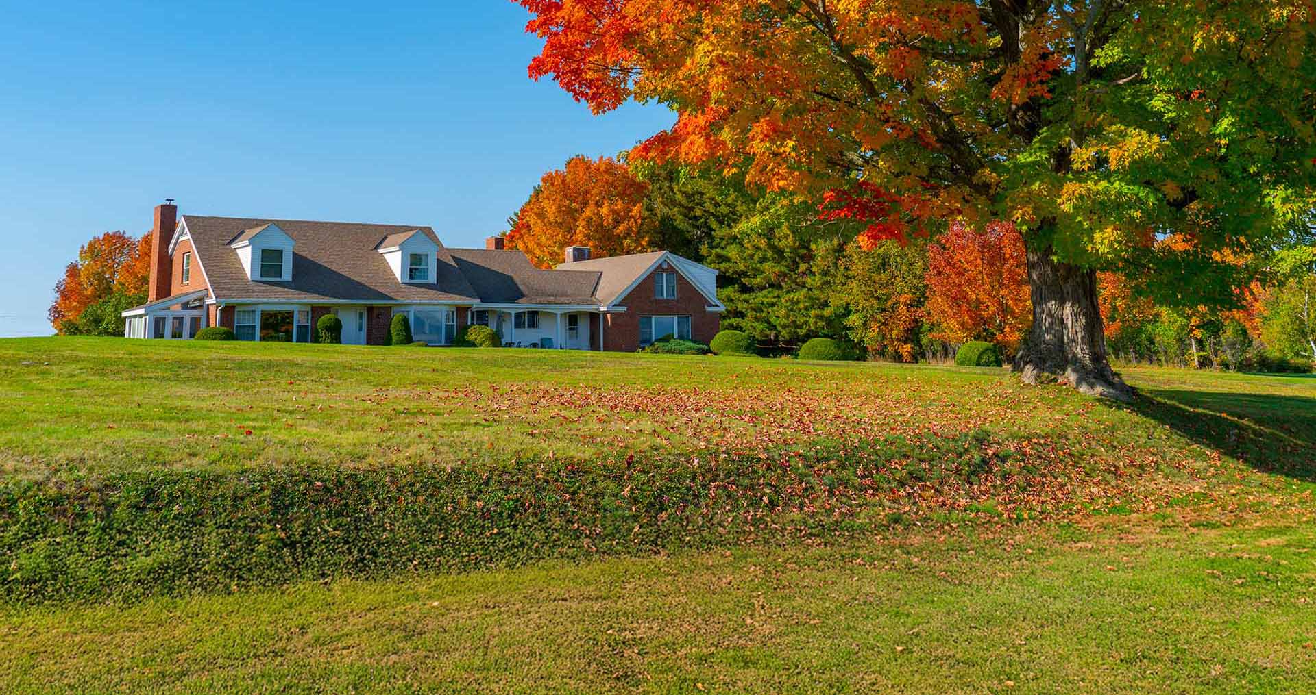 Residential home with a large yard and tree with fall-colored leaves