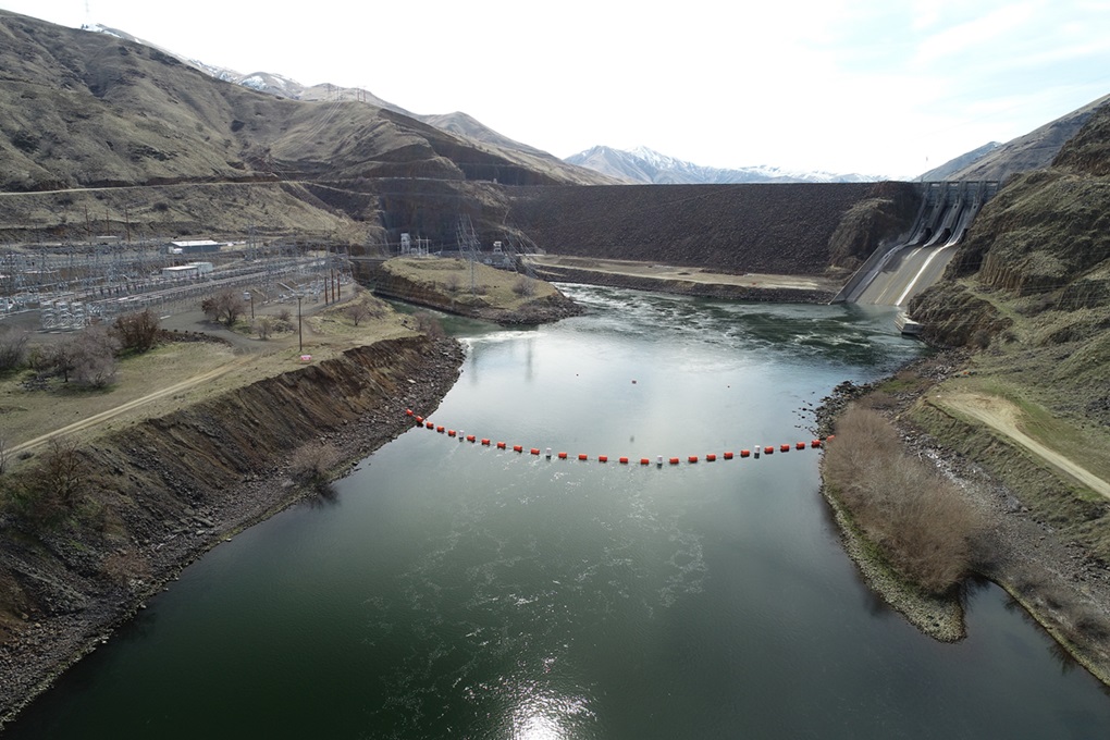 Brownlee dam with buoy lines in the water for safety